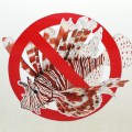 No Lionfish