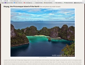 Bird's Head Seascape