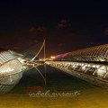 City of Arts and&nbsp;Sciences