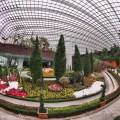 Gardens by the Bay – Indah&nbsp;Susanti