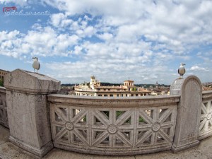 Two seagulls guarding the monument