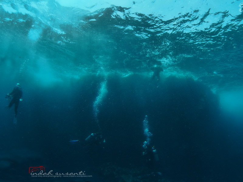 Cave Diving (Sal Island - Cabo Verde)