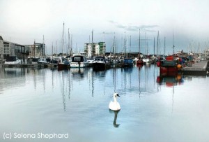 Photography by Selena Shephard