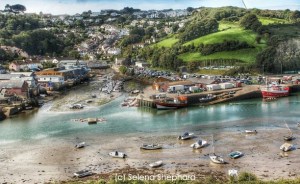 Photography by Selena Shephard