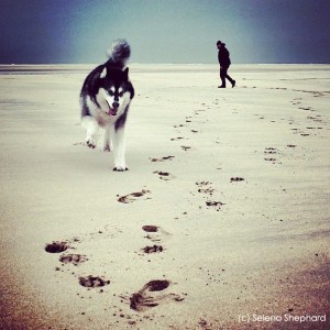 Photography by Selena Shephard