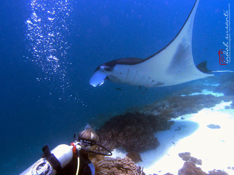 Image by Indah Susanti