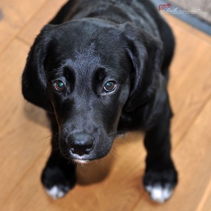 Really, I will fly?! 