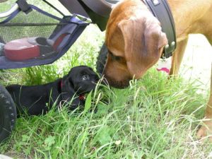 Can I trust you? (image by Lupa - Rotterdam)