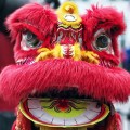 Lion Dancer