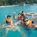 A turtle harassed by  snorkelers in&nbsp;Malaysia