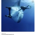 Touching manta 2