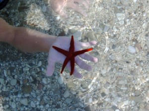 Image taken by Skimaniac