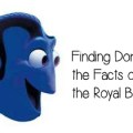 Finding Dori