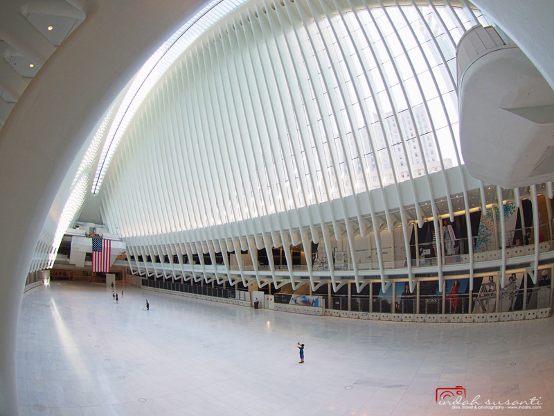 The Oculus NYC