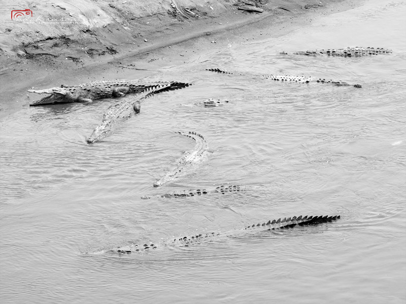 Costa Rica by Indah Susanti