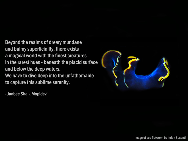 Inspiring quote to save our seas