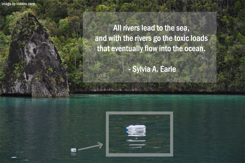 Inspiring Quote to Save Our Seas