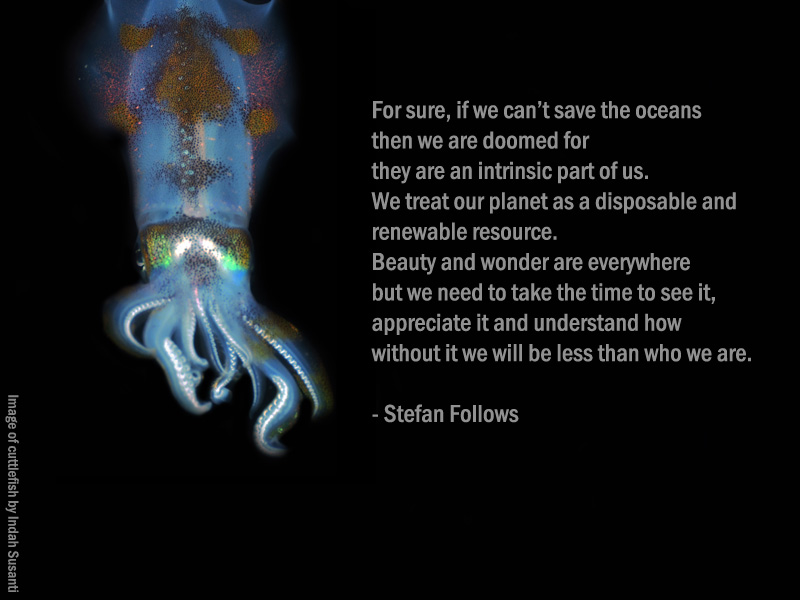Inspiring Quote to Save Our Seas