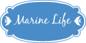 Marine Life medium