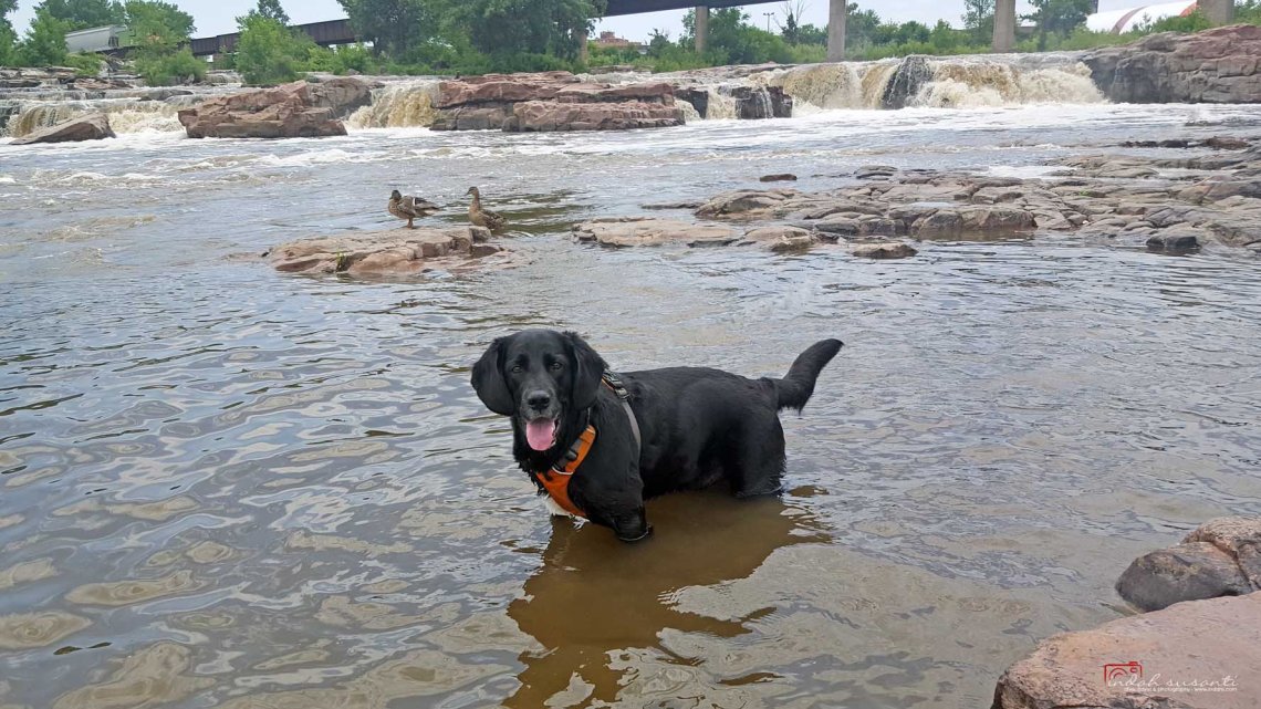 Dante South Dakota wordpress