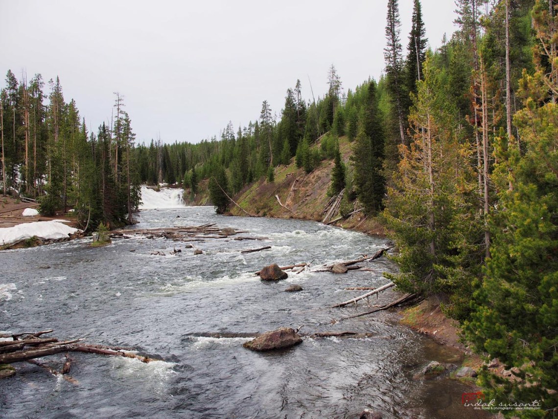 Waterfalls - Lewis Fall