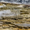 Yellowstone: Mammoth Hot&nbsp;Springs