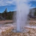Yellowstone: Norris Geyser&nbsp;Basin
