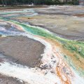 Yellowstone: Norris Geyser&nbsp;Basin