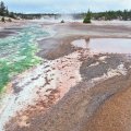 Yellowstone: Norris Geyser&nbsp;Basin